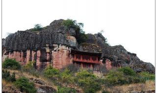 杜鹃花的寓意和象征 我愿是满山的杜鹃